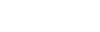Stevedoring service